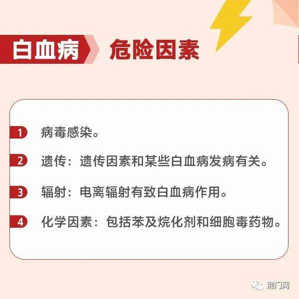 荊門最新招聘求職，探索職業(yè)發(fā)展的無限可能，荊門最新招聘求職信息，探索職業(yè)發(fā)展無限機遇