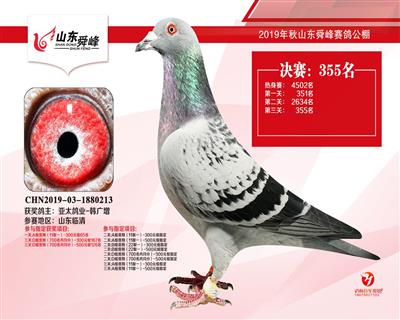 linjunyuan 第30頁