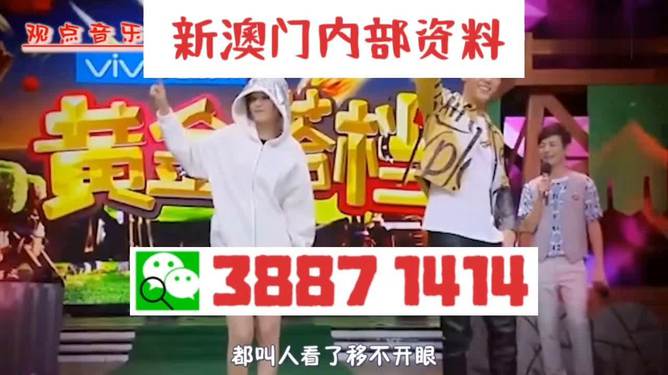 澳門今晚必開一肖一特，警惕違法犯罪風險，澳門警惕，違法犯罪風險下的今晚必開一肖一特警告