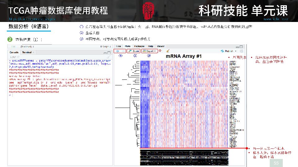 linhuijia 第31頁