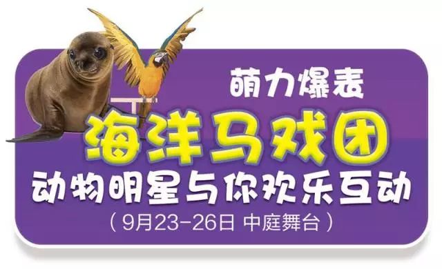 新奧門天天開獎資料大全，揭示背后的風(fēng)險與犯罪問題，新奧門天天開獎背后的風(fēng)險與犯罪問題揭秘
