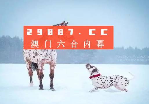 澳門內(nèi)部資料精準(zhǔn)大全2023——警惕違法犯罪風(fēng)險(xiǎn)，澳門內(nèi)部資料精準(zhǔn)大全背后的風(fēng)險(xiǎn)，警惕違法犯罪威脅 2023年警惕篇