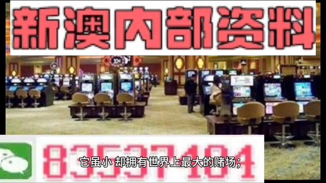關(guān)于澳門精準(zhǔn)正版免費(fèi)大全的探討——警惕犯罪風(fēng)險(xiǎn)，澳門精準(zhǔn)正版免費(fèi)大全探討，警惕犯罪風(fēng)險(xiǎn)