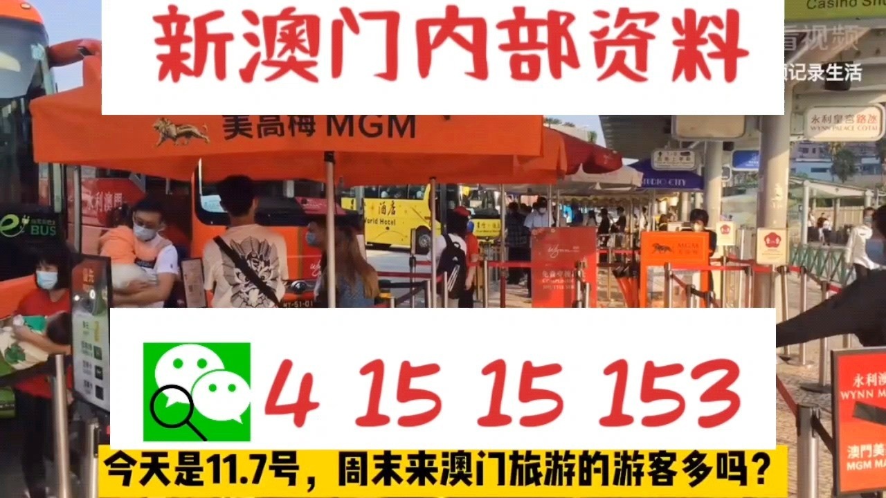 關(guān)于新澳門資料大全及家野中特的探討——警惕違法犯罪風(fēng)險，澳門資料大全及家野中特探討，警惕潛在違法犯罪風(fēng)險