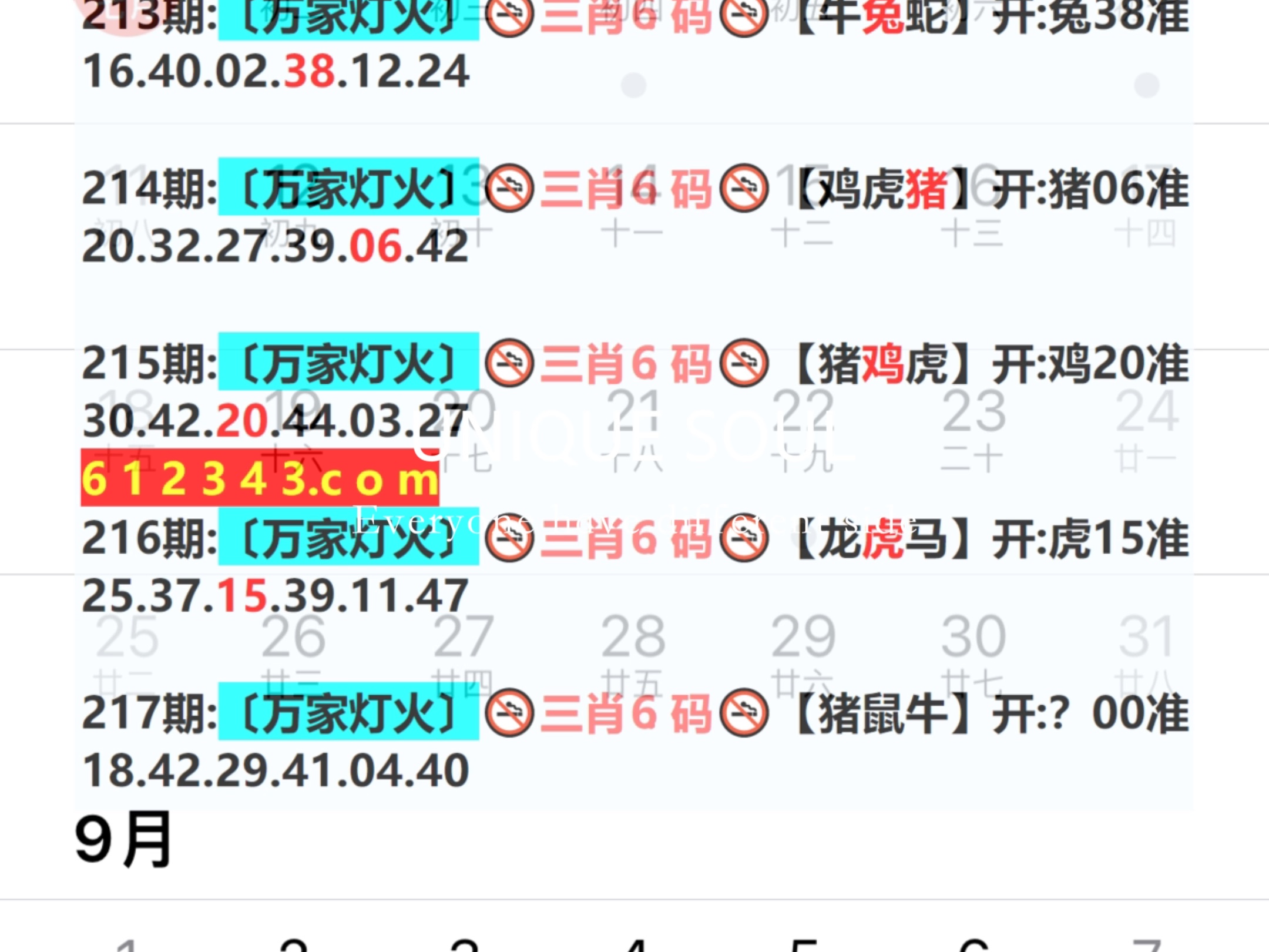 新澳門天天開彩，探索未來的機遇與挑戰(zhàn)（2024年展望），澳門未來展望，機遇與挑戰(zhàn)并存下的天天開彩（2024年展望）
