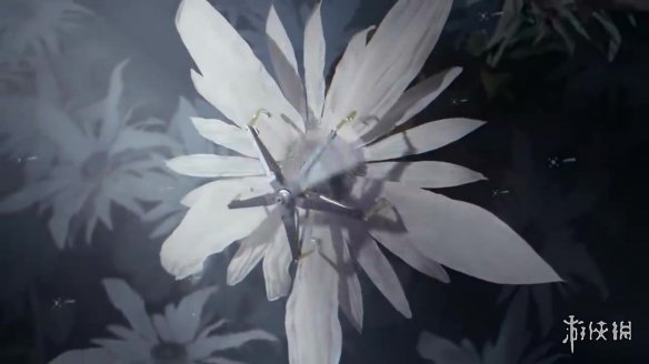 葉雨幽最新動(dòng)態(tài)與成就，葉雨幽最新動(dòng)態(tài)及成就概覽