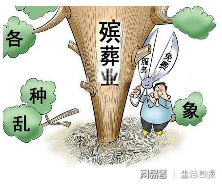 殯葬領(lǐng)域整治的具體內(nèi)容，殯葬領(lǐng)域整治行動全面展開，詳細內(nèi)容揭秘