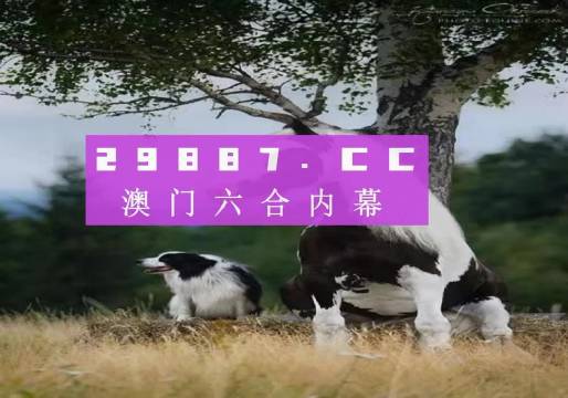 澳門彩票的奧秘與探索，2023年一期的開(kāi)獎(jiǎng)之旅，澳門彩票奧秘揭秘，2023年開(kāi)獎(jiǎng)之旅探索