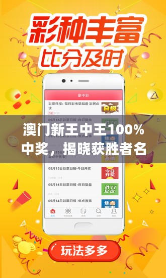 新澳門王中王100%期期中，探索彩票世界的神秘面紗，揭秘新澳門王中王彩票期期中奧秘，揭開彩票世界的神秘面紗