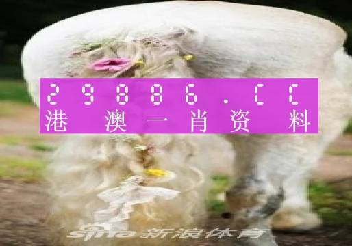 澳門內(nèi)部資料精準(zhǔn)大全2023，揭示背后的風(fēng)險(xiǎn)與挑戰(zhàn)，澳門內(nèi)部資料精準(zhǔn)大全揭秘，風(fēng)險(xiǎn)與挑戰(zhàn)并存于2023年