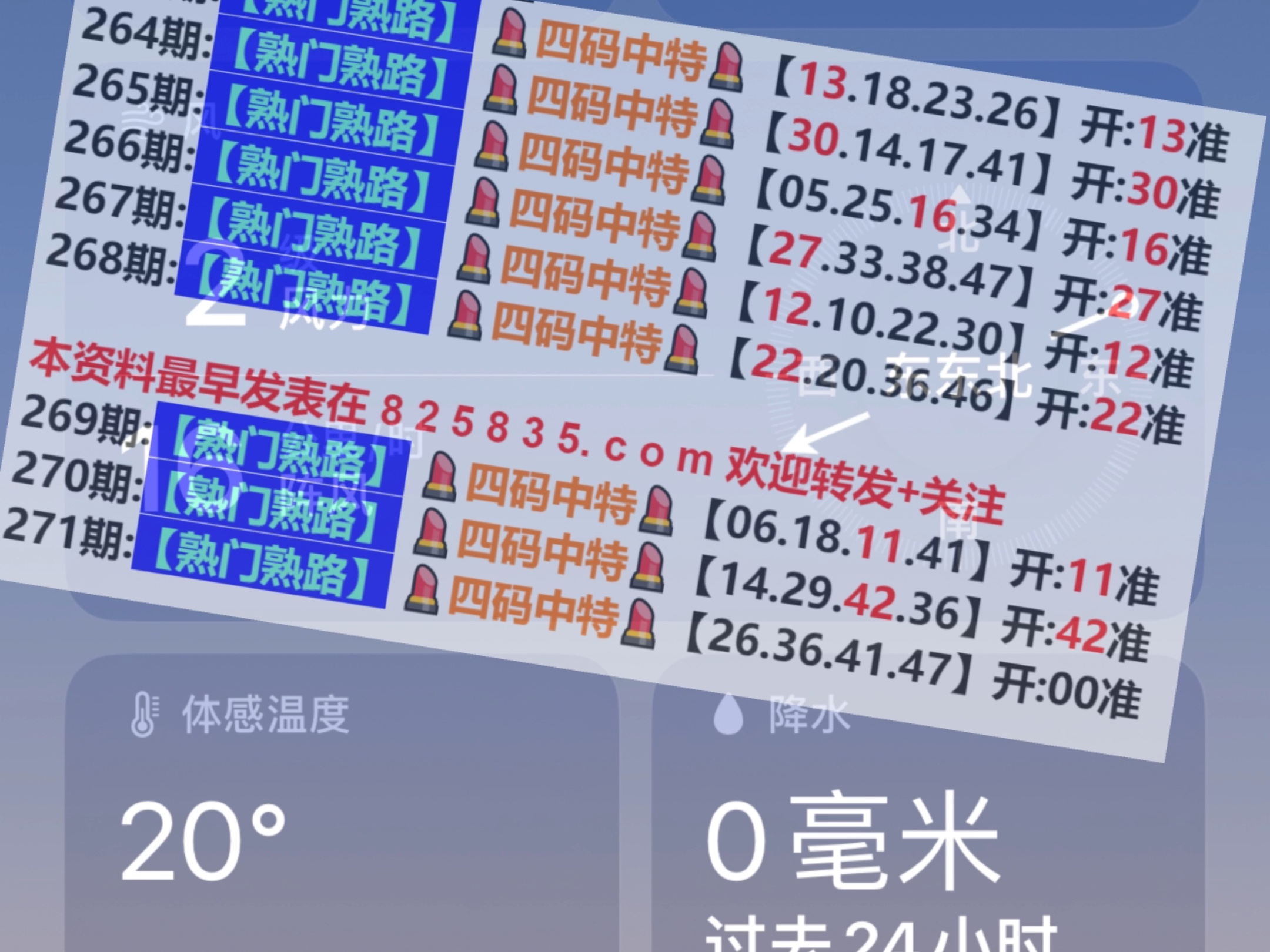 澳門免費精準資料，探索未來的奧秘（204年展望），澳門未來奧秘探索，精準資料揭示免費預測（展望204年）