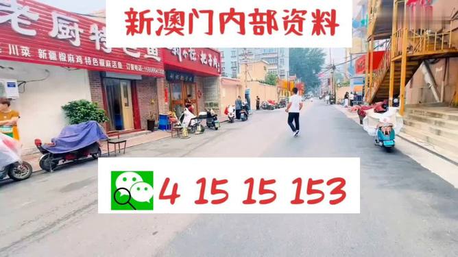 探索未來幸運之門，2024年天天開好彩資料解析，揭秘未來幸運之門，2024年天天好彩資料解析手冊