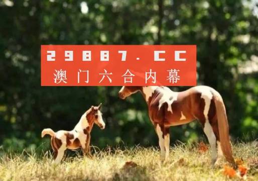 澳門六開彩結(jié)果，探索與解析（XXXX年報告），澳門六開彩結(jié)果解析報告，XXXX年最新探索與趨勢分析