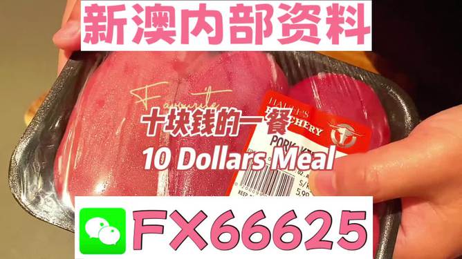 新澳精準資料免費提供，探索第510期的奧秘與價值，新澳第510期精準資料探索，奧秘與價值揭秘